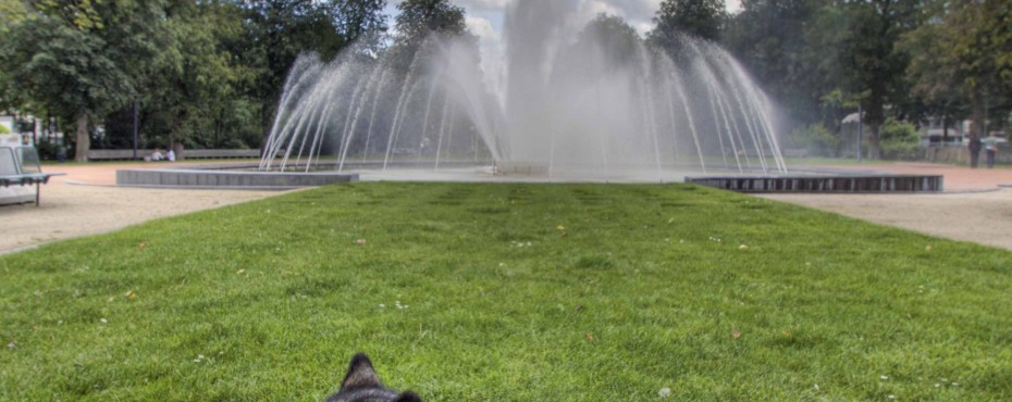 walk_throught_the_park
