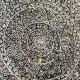 Wat Pho - Bangkok, Thailand