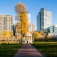 boston-101